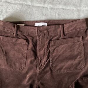 LOFT Chocolate Brown Pants